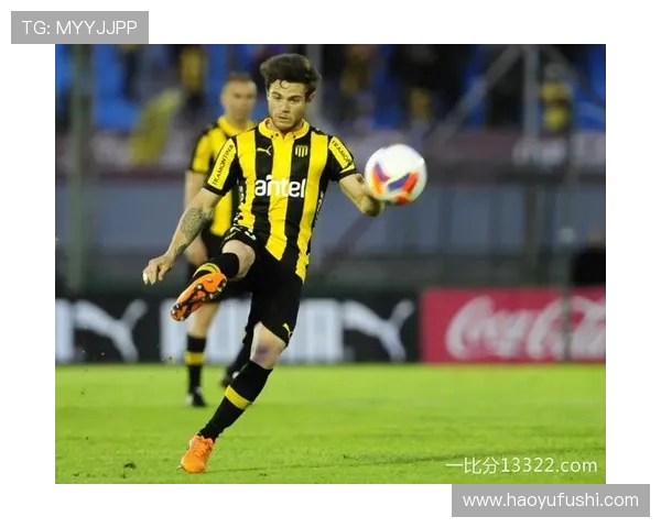 努涅斯在赛场上的崛起与挑战：一位新星的奋斗历程与未来展望